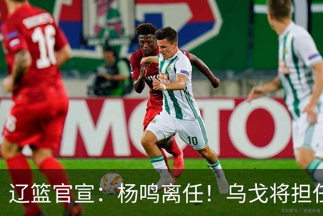 辽篮官宣：杨鸣离任！乌戈将担任辽宁男篮主帅